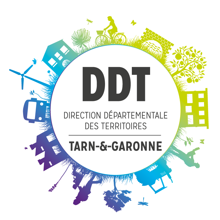 Logo DDT